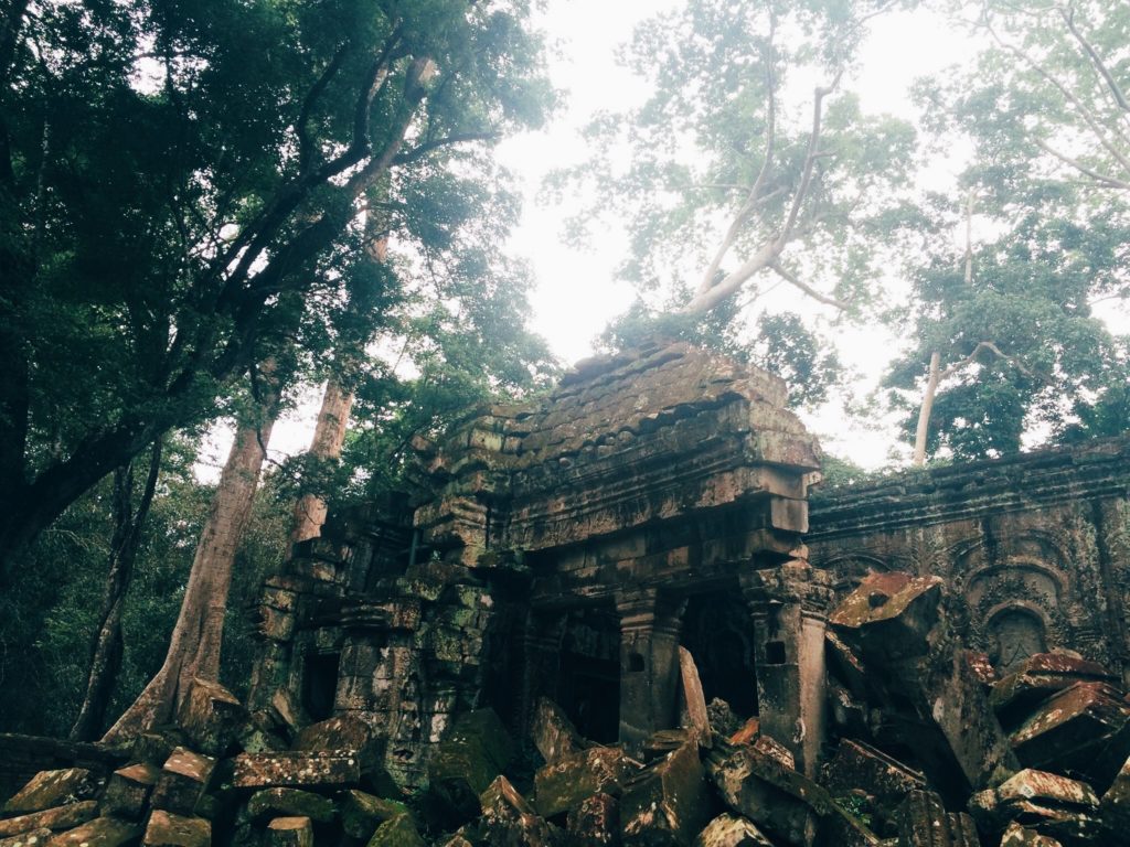 Ta Prohm in Cambodia