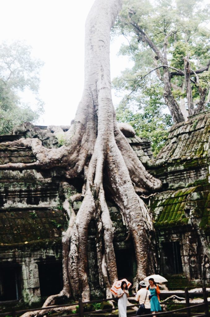 Ta Prohm in Cambodia