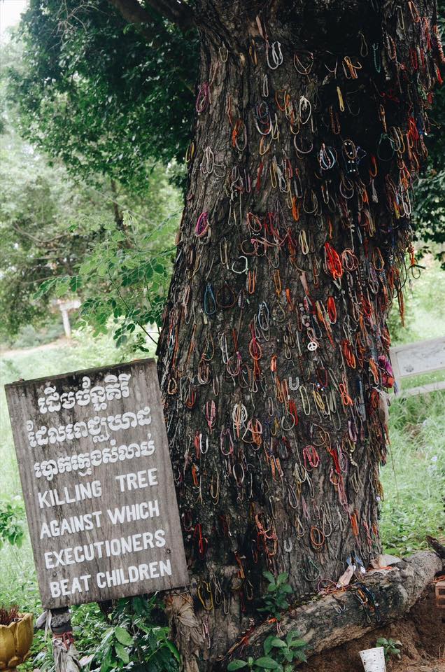 Killing Tree against which Executioners beat Children, Phnom Penh, Cambodia