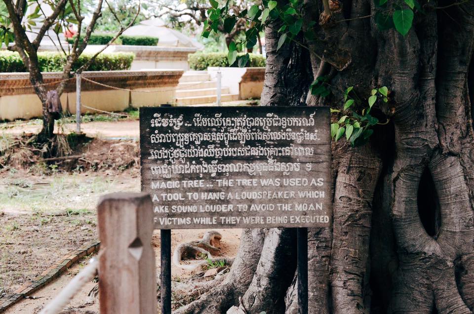 Magic Tree was used as a tool to hang a loudspeaker, Phnom Penh, Cambodia