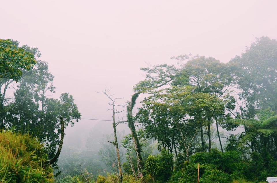 Foggy weather - road trip to Bukidnon